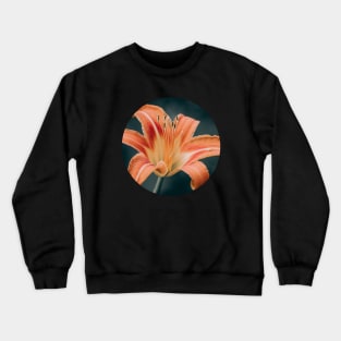 Orange Daylily Photograph Circle Crewneck Sweatshirt